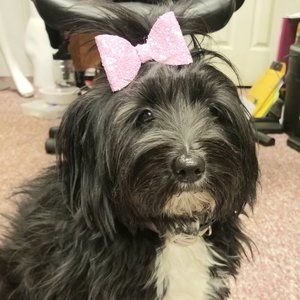 Stuff For UR Other BFF This is Nevaeh (Heaven spelled backwards)